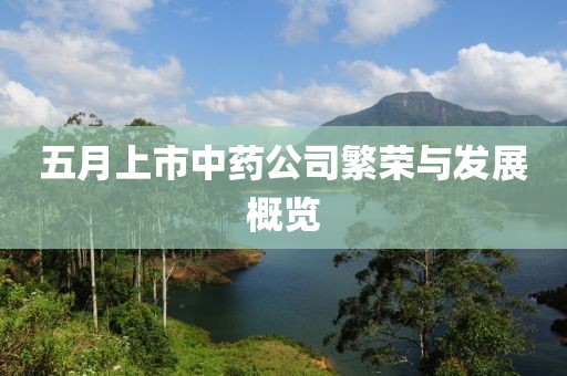 五月上市中藥公司繁榮與發(fā)展概覽